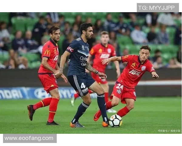 惠灵顿与墨尔本城比赛结果揭晓双方表现分析与未来展望